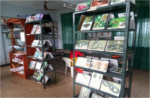 FORENSIC MEDICINE & TOXICOLOGY1