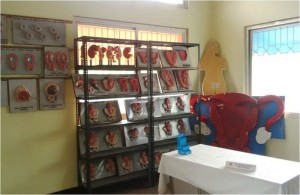 GYNAECOLOGY & OBSTETRICS1