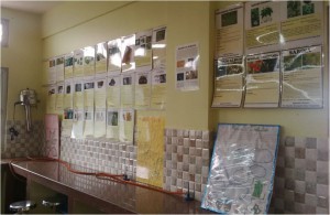 HOMOEOPATHIC PHARMACY1